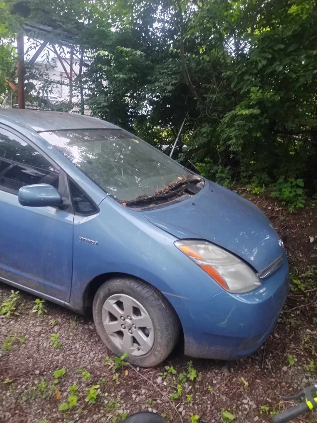 2001 Toyota prius